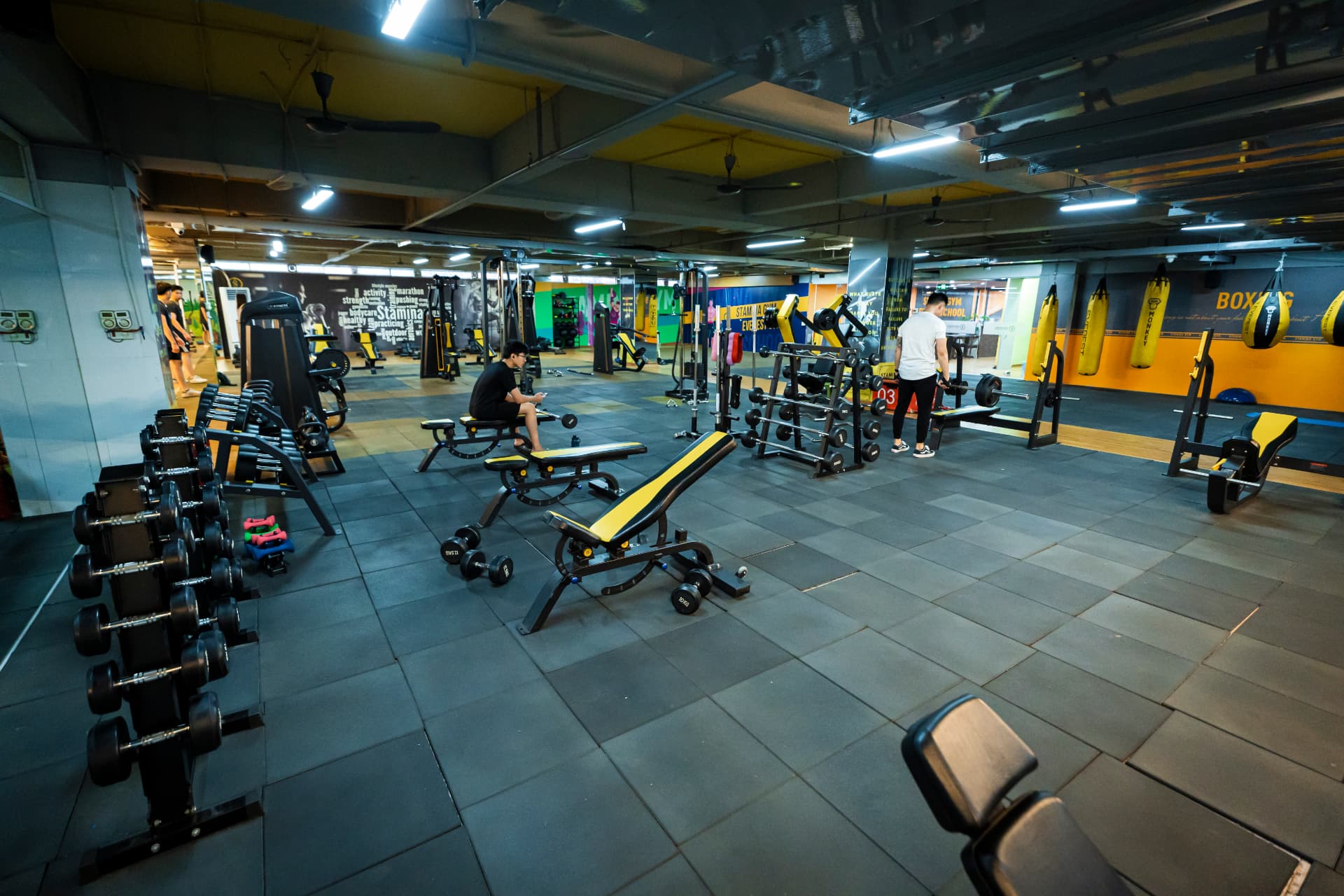 Không gian STAMINA Gym với dàn tạ đơn, ghế tập và khu boxing